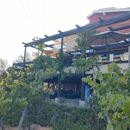 Rancho Los Amigos Cabin Lodge Ensenada Exterior foto