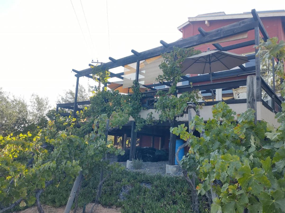 Rancho Los Amigos Cabin Lodge Ensenada Exterior foto
